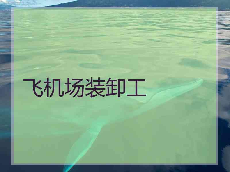 飞机场装卸工 飞机场装卸工