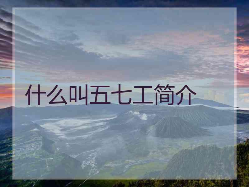 什么叫五七工简介