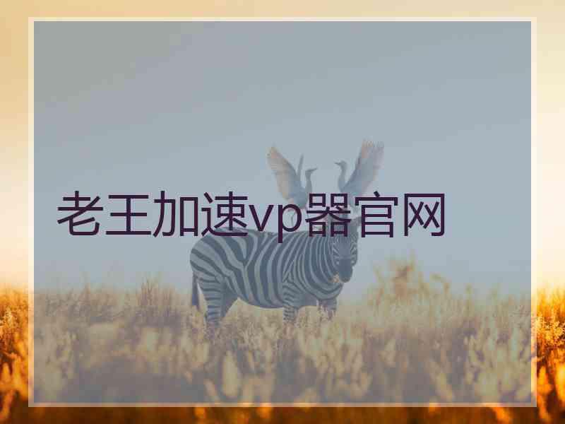 老王加速vp器官网