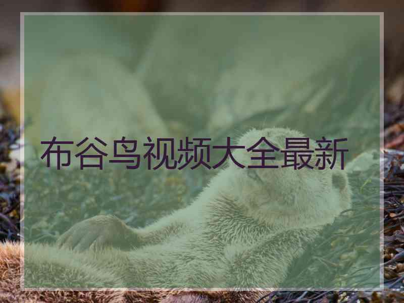 布谷鸟视频大全最新