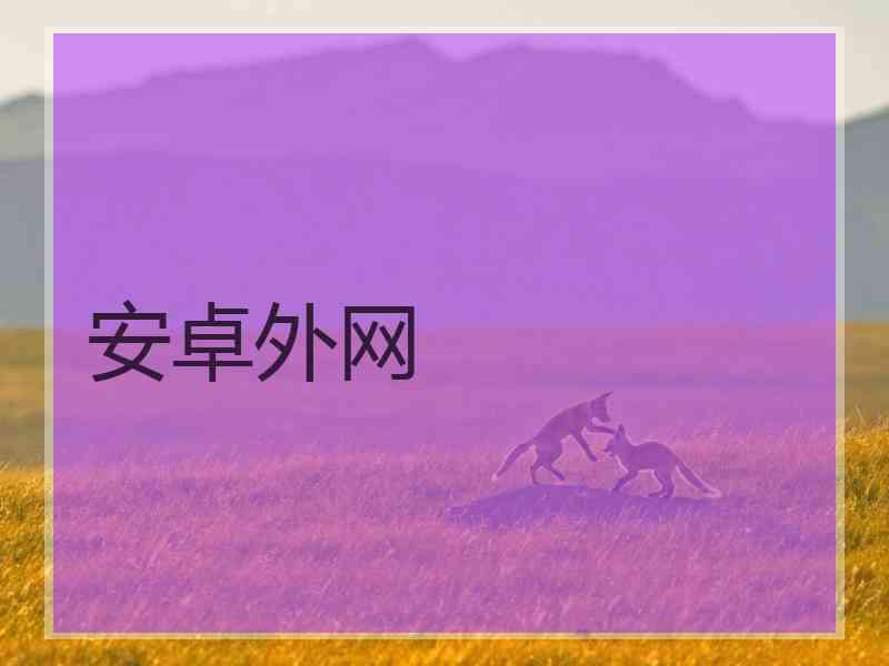 安卓外网
