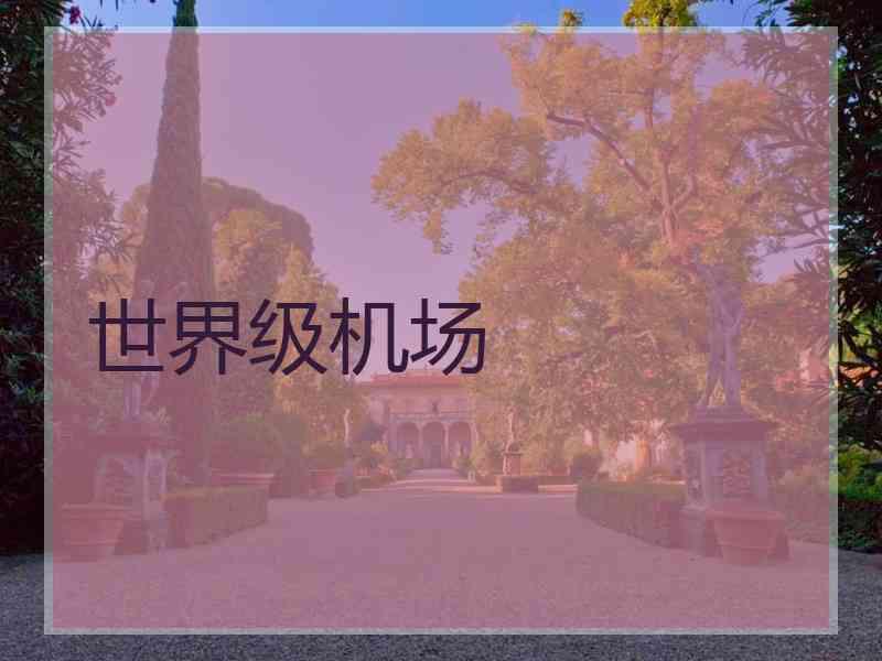 世界级机场