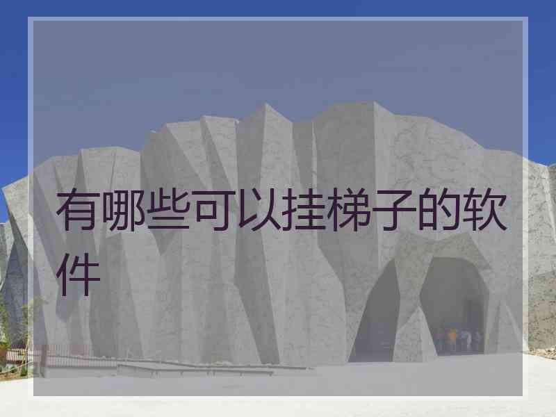 有哪些可以挂梯子的软件