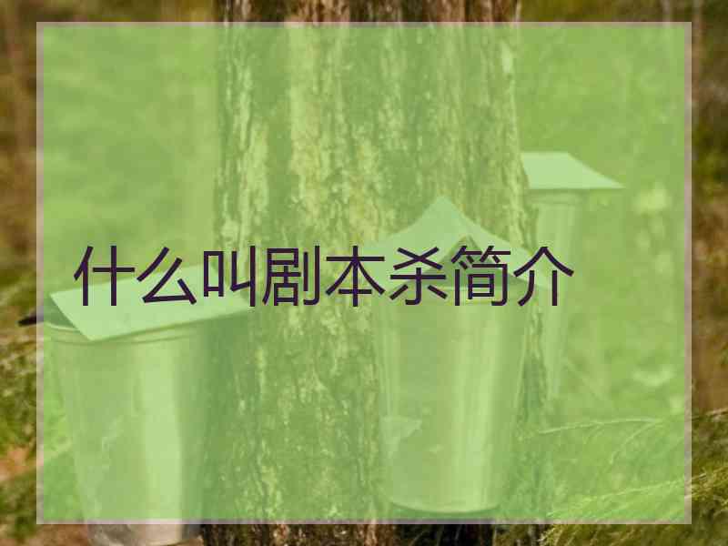 什么叫剧本杀简介
