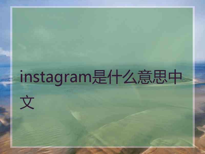 instagram是什么意思中文