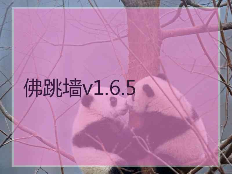 佛跳墙v1.6.5