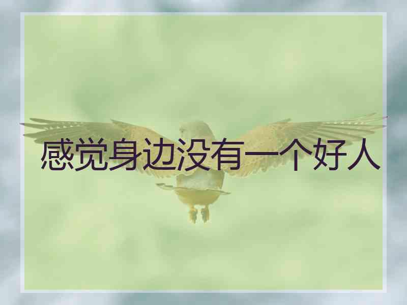 感觉身边没有一个好人