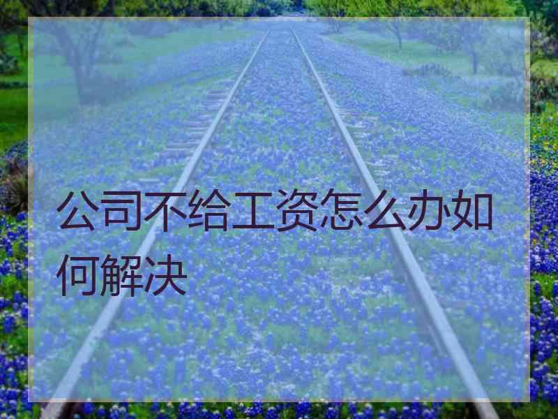 公司不给工资怎么办如何解决