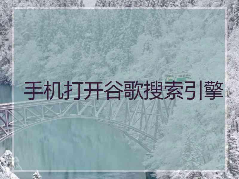 手机打开谷歌搜索引擎