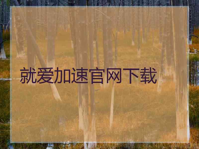 就爱加速官网下载