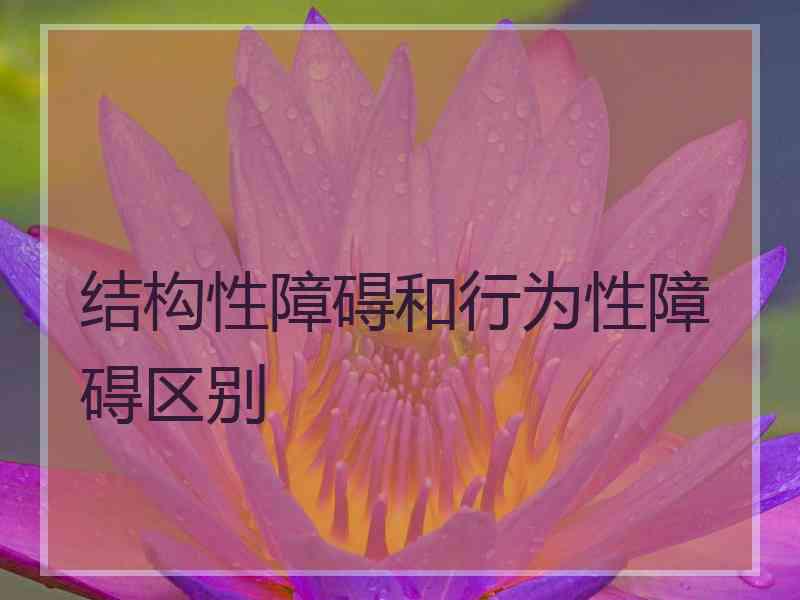 结构性障碍和行为性障碍区别