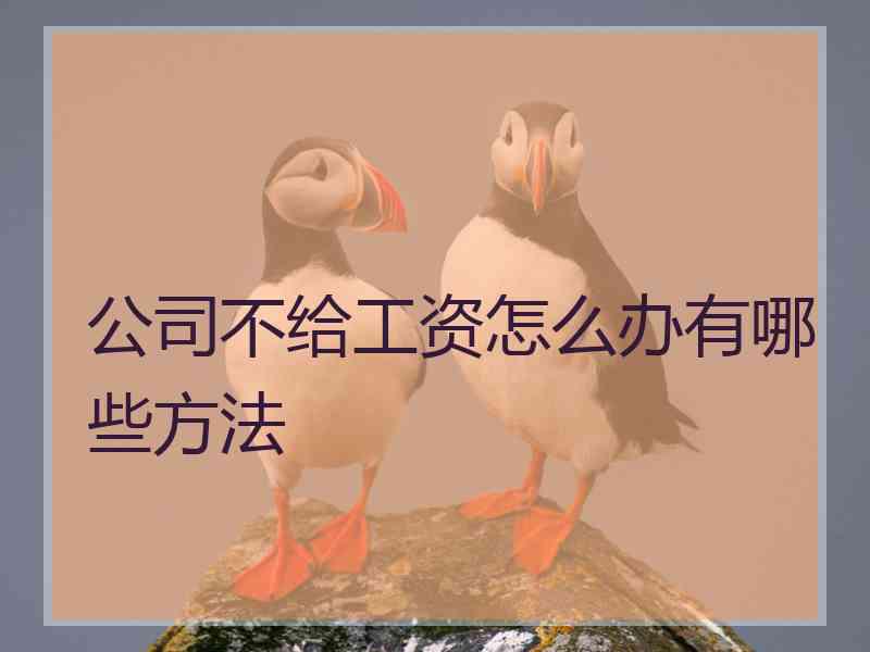 公司不给工资怎么办有哪些方法