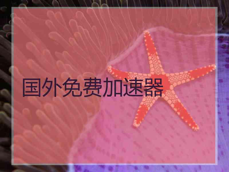 国外免费加速器