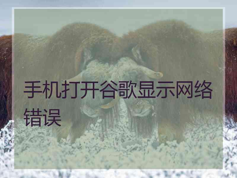 手机打开谷歌显示网络错误