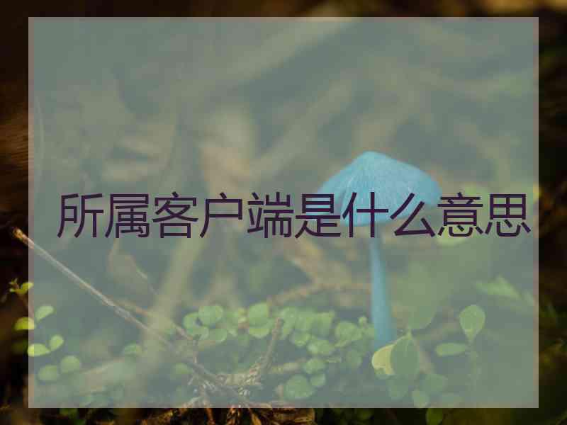 所属客户端是什么意思