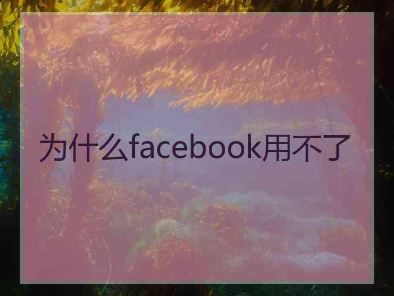 为什么facebook用不了