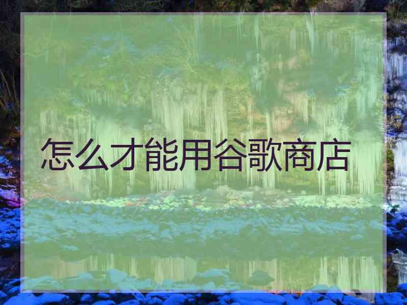 怎么才能用谷歌商店