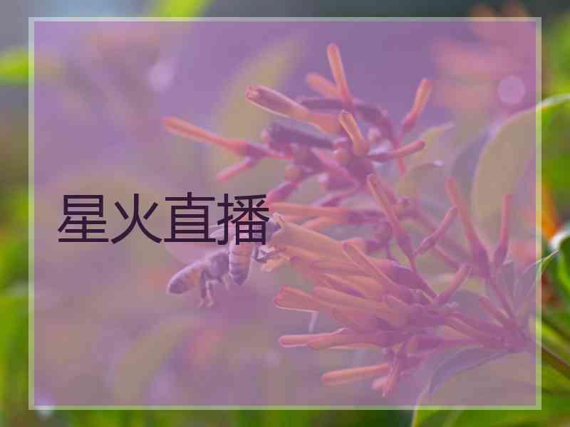 星火直播