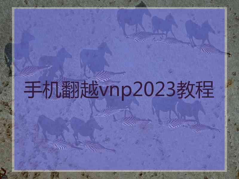 手机翻越vnp2023教程