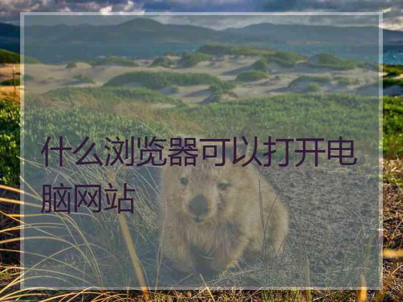 什么浏览器可以打开电脑网站