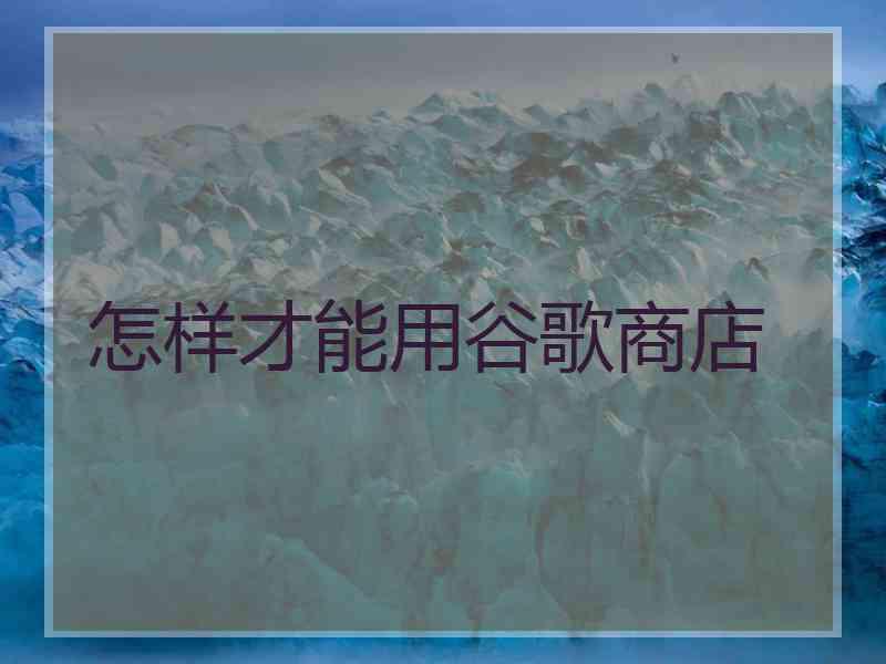 怎样才能用谷歌商店