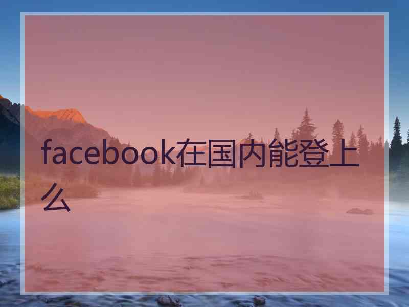 facebook在国内能登上么
