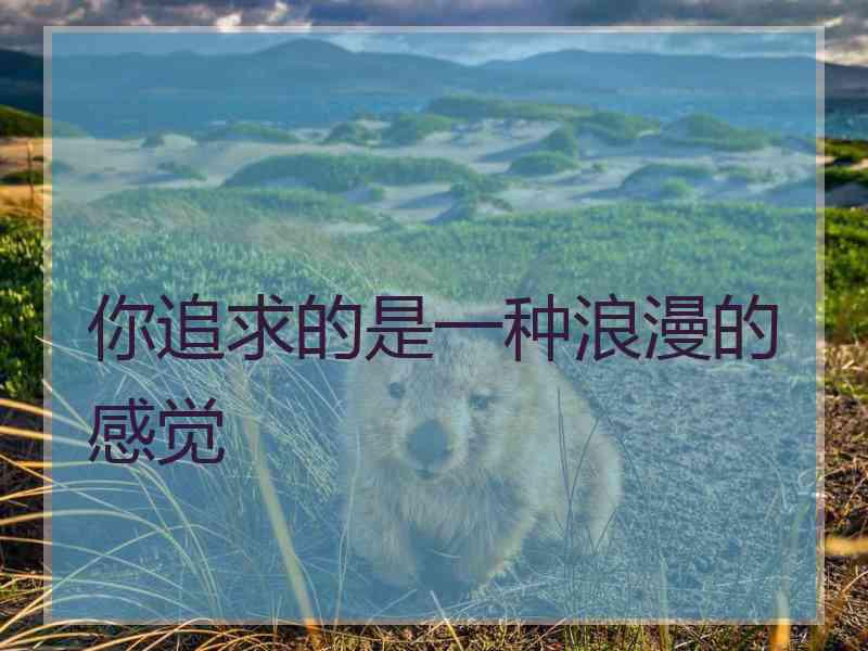 你追求的是一种浪漫的感觉