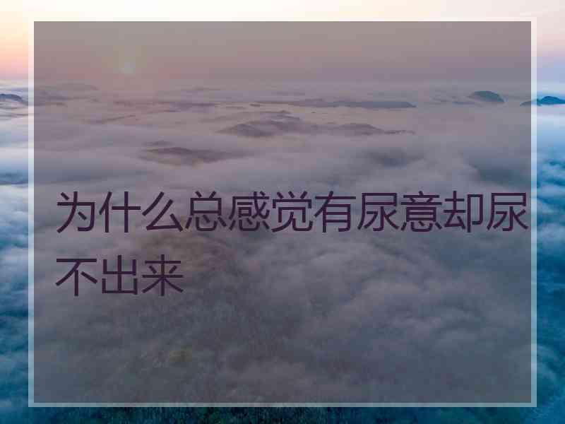 为什么总感觉有尿意却尿不出来