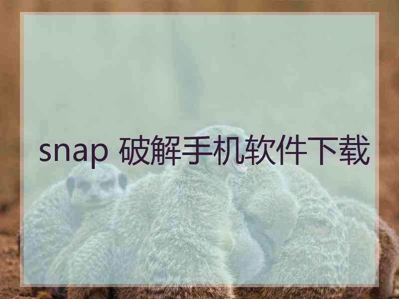 snap 破解手机软件下载