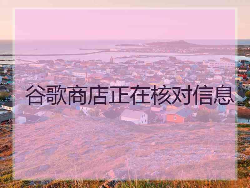 谷歌商店正在核对信息