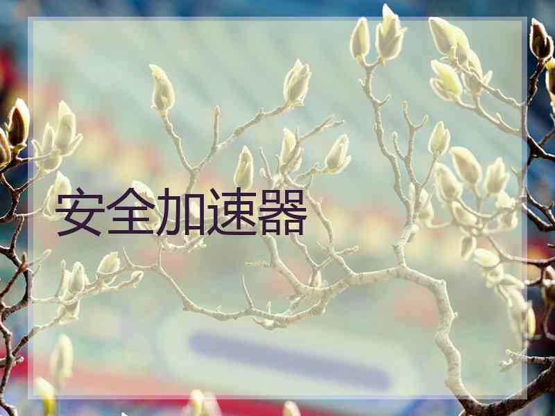 安全加速器