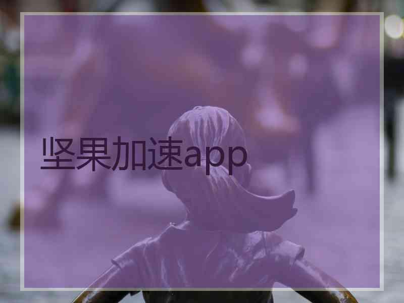 坚果加速app