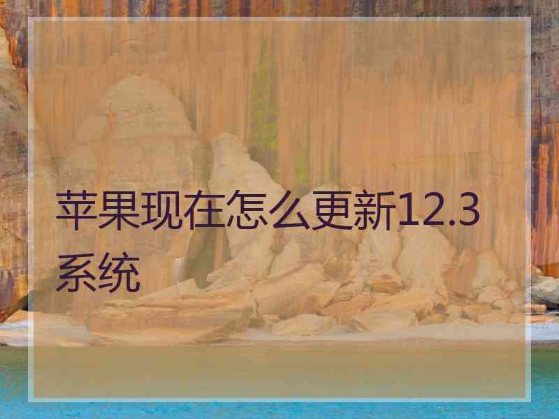 苹果现在怎么更新12.3系统