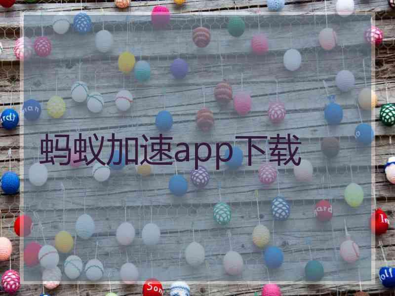蚂蚁加速app下载