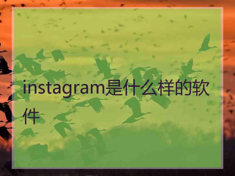 instagram是什么样的软件