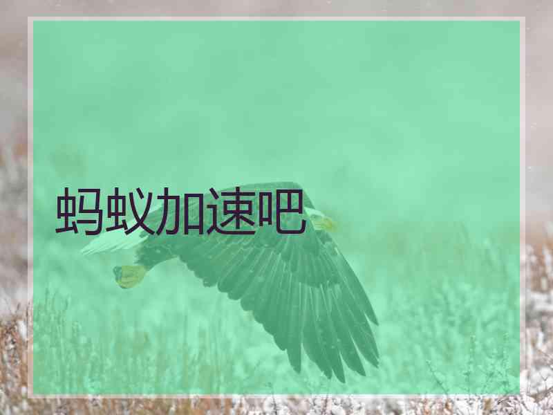 蚂蚁加速吧