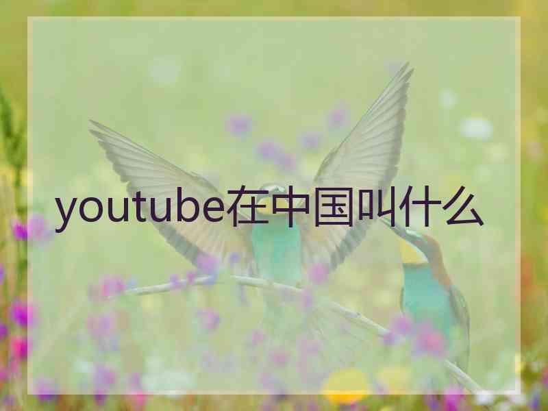 youtube在中国叫什么
