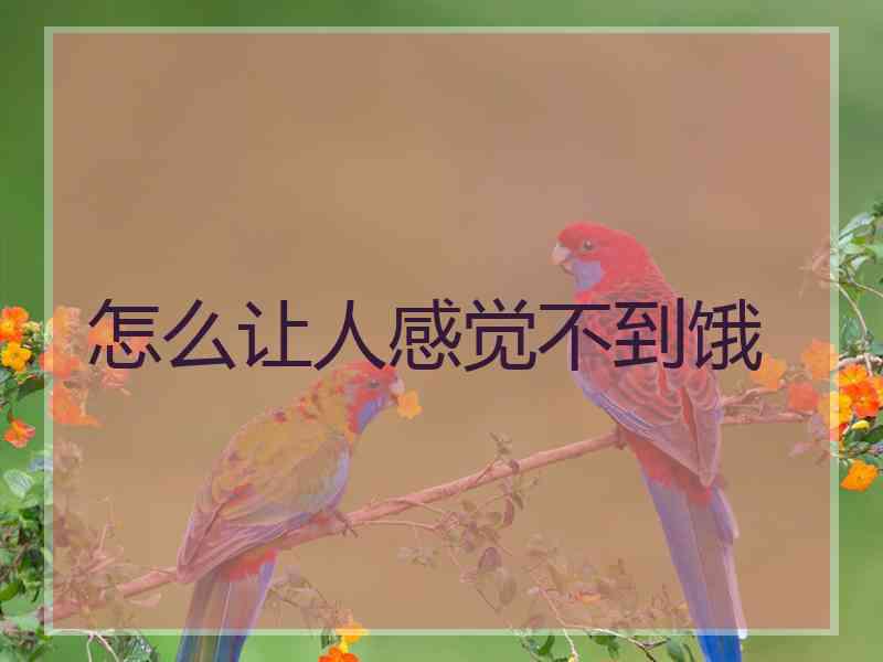 怎么让人感觉不到饿