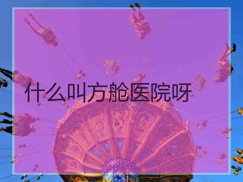 什么叫方舱医院呀