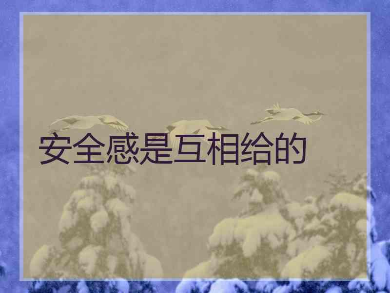 安全感是互相给的