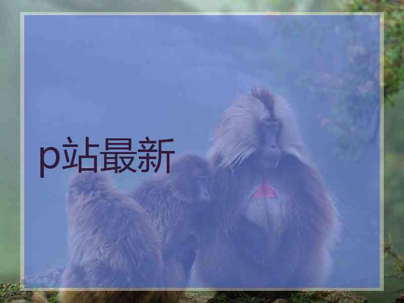 p站最新
