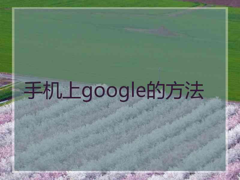 手机上google的方法