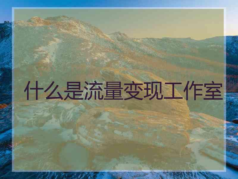 什么是流量变现工作室