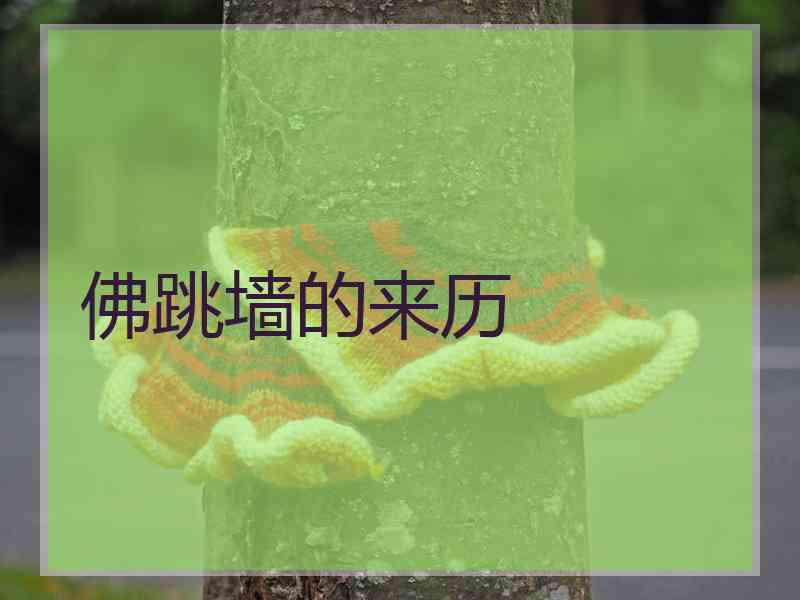 佛跳墙的来历
