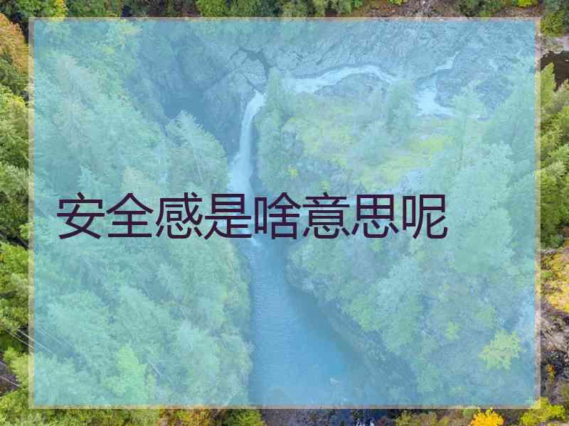 安全感是啥意思呢