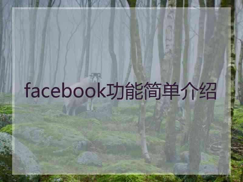 facebook功能简单介绍