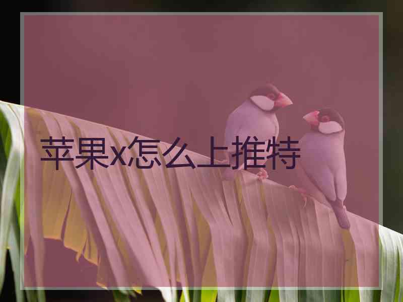 苹果x怎么上推特