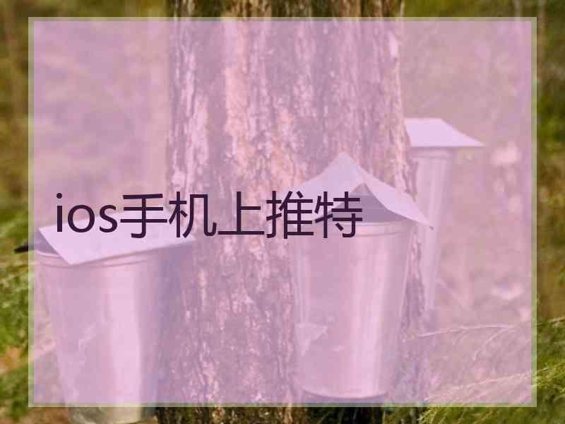ios手机上推特