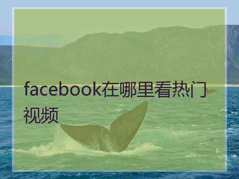 facebook在哪里看热门视频