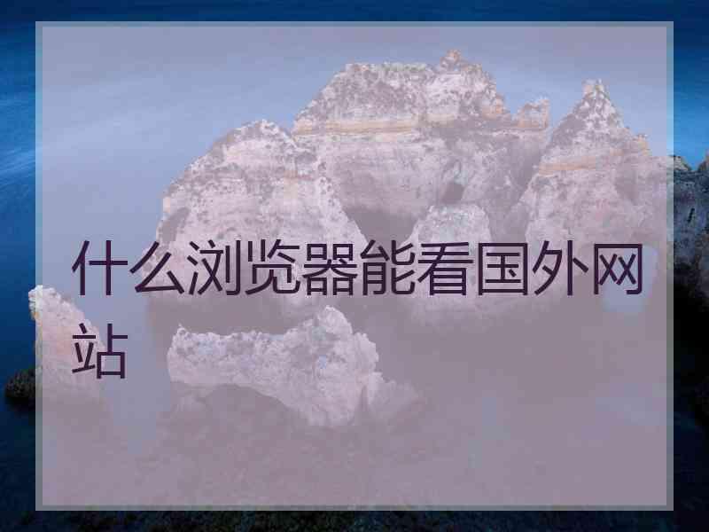 什么浏览器能看国外网站